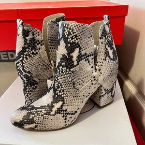 Steve madden ankle boots
